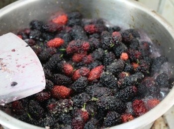 step4: 等了5-6小時後，桑葚就可以用中小火慢慢煮沸，因為是水果要下去熬煮，我不喜歡煮到最後水果新鮮度和營養不見了，所以我不會開太大火下去熬煮，在煮沸前要不斷的翻動桑葚和沉在鍋裡的紅砂糖，等桑葚煮沸後，馬上轉小火繼續煮和紅砂糖完全融化，如果太濃稠的話，可以稍微加點水緩和桑葚汁的熱度。