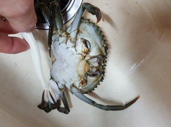 step7: 用牙刷刷去腳邊及蓋上四周污泥