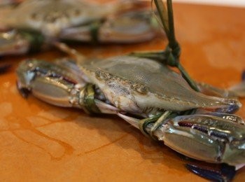 step3: 劏蟹緊記先處決<a href="https://bit.ly/2YzwBVG" target="_blank" data-keyword="蟹鉗" class="guide-link"><strong>蟹鉗</strong></a> <span style="display:inline-block;vertical-align:middle;margin-top:-3px;color:initial;border-radius:3px;padding:2px 3px;font-size:12px;line-height:14px;background:#87d300;color:#fff;">即買</span> 