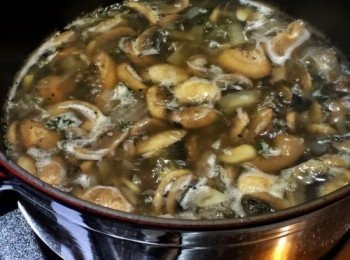 step4: 加入雞湯，煮滾後轉慢火再煮20分鐘