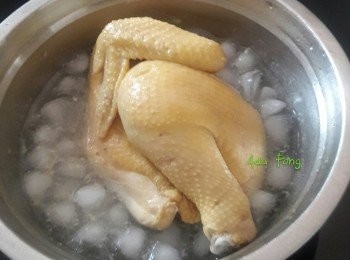 step1: 先將雞切開兩邊，去頸去腳。用半煲水加薑片蔥條煲至水微滾後，轉細火煮15分鐘，熄火焗20分鐘，其間要將雞反下。篤下肶位冇血水流出就可以了，用凍滾水沖下雞表面D油，放入冰水度浸15分鐘。