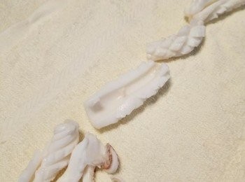 step2: 用毛巾包好鮮魷，用意索乾水份。