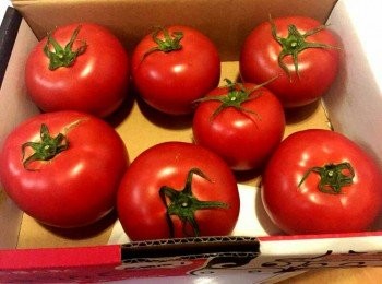 step4: 中型或以上蕃茄建議用碗吃
(視乎大細調節時間)