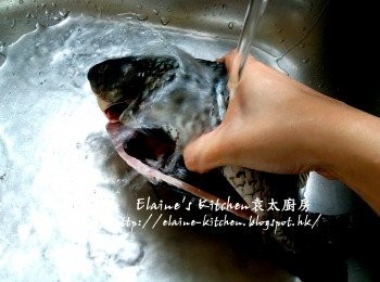 step2: 期間將鯽魚內藏去除 , 將鯽魚用水沖洗乾淨 , 再抹乾水份