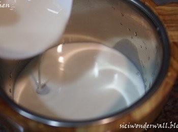 step4: 另一邊將混合了的石膏水攪勻後倒入器皿內，