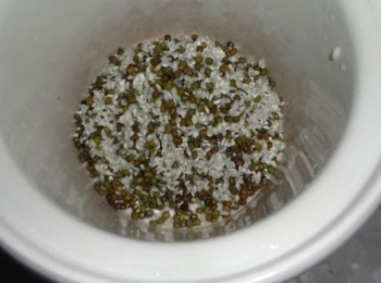 step3: 將洗好的綠豆和米倒入燉鍋內；