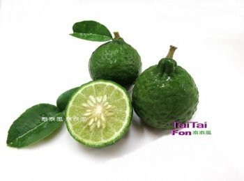 step2: 看它的剖面