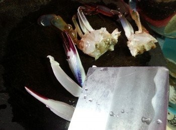 step6: 將蟹斬開兩邊,<a href="https://bit.ly/2YzwBVG" target="_blank" data-keyword="蟹鉗" class="guide-link"><strong>蟹鉗</strong></a> <span style="display:inline-block;vertical-align:middle;margin-top:-3px;color:initial;border-radius:3px;padding:2px 3px;font-size:12px;line-height:14px;background:#87d300;color:#fff;">即買</span> 用菜刀將殼拍散