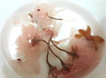 step1: 先用凍水浸櫻花漬約15分鐘倒水去除表面既鹽分, 然後再加溫水浸多15分鐘備用
