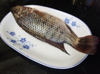 step3: 鰂魚