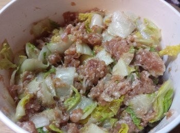 step5: 肉碎加入<span class="group_3">醃料</span>後，再加入娃娃菜，以順時針方向拌勻，備用。