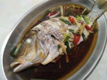 step4: 如蒸熟透後，再把辣椒和青蔥鋪在魚身上，即可上桌享用澎湖在地宴客的首選的青嘴龍占魚【澎湖野生水產】。