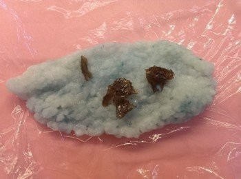step2: 將台東埤南米混合拌飯料後包上有機Q梅