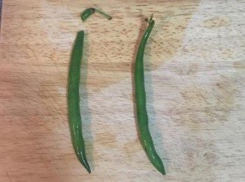 step2: 四季豆摘去頭部後洗淨，如使用淺綠色四季豆，則需摘頭尾。