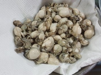 step4: 將已經出水的蠔仔必須要索乾水份待用