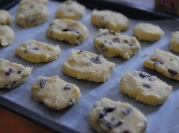 step5: 拿出餅乾粉糰，切成約半吋厚的小塊，放在烘焙紙上。放入焗爐180度焗約12至15分鐘，或表面金黃色即成