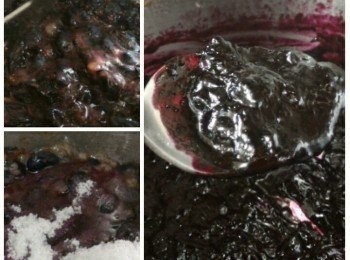 step1: 藍莓略壓加2湯匙砂糖用小火煮大約10分鐘至濃稠成醬(需不時攪拌)，待涼備用。