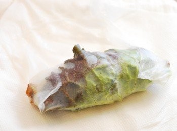 step9: 從底邊開始往上捲，收起左右兩側，收口處朝下（米紙性黏，會自動收口），重複動作