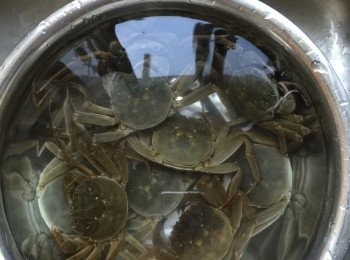 step2: 大閘蟹用清水浸泡，再用刷子刷乾淨些。