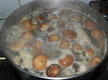 step6: 將雞肉、南瓜與香菇都加入湯內，再煮個30分，最後加鹽調味