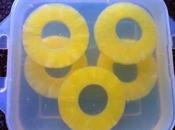 step3: 首先倒入適量的鳳梨燕菜在模型裡面，凝固后放上鳳梨片，再加入鳳梨燕菜凝固，重複兩次。收進冰箱。待冰冷過後即可享用。