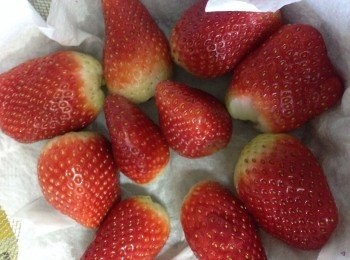 step1: 先將草莓去萣浸泡塩水一會後用食水冲淨吸乾水份備用