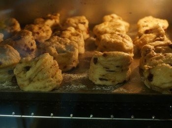 step5: 移入烤盤的麵糰.表面可刷上兩次黑糖水或稀南瓜泥或不刷.靜置10分鐘後移進以預熱200度烤箱.