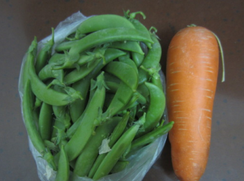 step1: 準備好<span class="group_1">食材</span>。