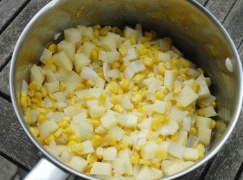 step3: 加入馬鈴薯及雞湯（或蔬菜湯），用中火煮沸，蓋上煲蓋再煮20分鐘或至馬鈴薯全熟