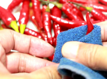 step6: 清洗乾淨的辣椒先用乾布擦拭和風乾, 盡量減低帶水份的情況。