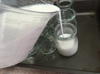 step5: 倒進溶器，攤凍，雪8小時至凝固, 最後加入些紅豆蓉就完成喇