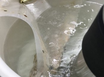 step5: 完成後，取出鴨胸