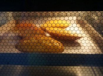 step5: 180度預熱烤箱，烤25分鐘左右。表面金黃，略帶焦點的狀態最好吃。