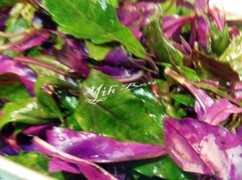 step1: 紅鳳菜清洗乾淨瀝乾