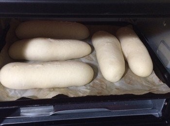 step4: 靜代十分鐘，做型後再做二發至一倍大