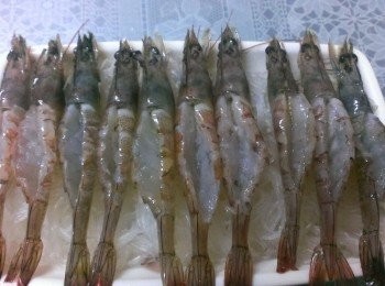 step4: 將蝦子鋪在冬粉上