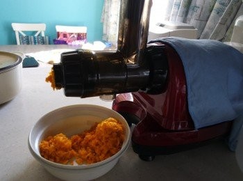 step2: a. 用慢磨機先把南瓜磨成蓉

b. 用刀把南瓜切粒(小一點較快淋身)