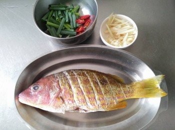 step1: 將黃雞母魚【澎湖野生水產】從袋中取出，解凍，將去魚鱗、魚鰓、內臟，並清洗乾淨再於魚背畫刀，辣椒斜切、薑絲切絲、青蔥切段、蒜頭切塊，放於蒸盤上；