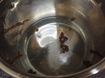 step2: 水煲滾,放入壓碎嘅八角和粗鹽