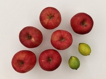 step1: 準備材料,蘋果及檸檬清洗乾淨。製作的果乾份量可依機器的容量做調整。