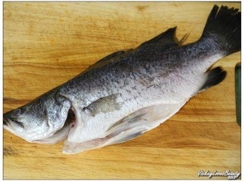 step1: 澳洲尖吻海鱸全魚一隻洗淨，先以適量的鹽稍加醃漬至少半小時後切成塊狀備用