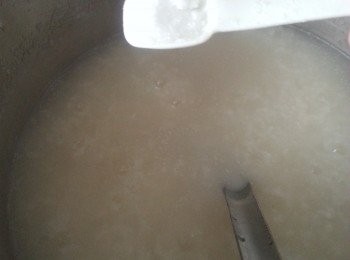 step4: 粥煮到綿滑後加上鹽調味即可
