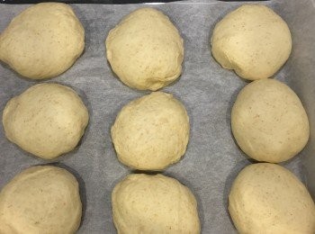 step8: 看！40分鐘之後已發得很大了！