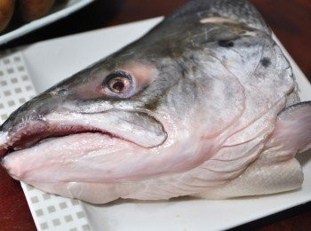 step1: 選用新鮮鮭魚頭做湯頭