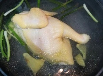 step2: 鍋內煲一煲滾水（要蓋過雞面），加蔥段及薑片，大火滾5分鐘 熄火唔好開蓋，浸雞百 8分鐘