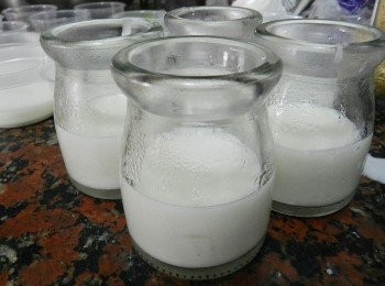 step3: 將<span class="group_2">椰奶凍</span>倒入容器內至一半