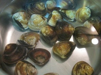 step1: 文蛤先泡鹽水吐沙至少2小時。