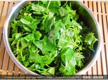 step3: 龍葵用清水洗淨後，去除根部，保留嫩莖葉部分。