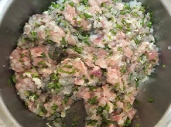 step2: 雞肉泥與蒟蒻晶米山藥泥、鹽巴、胡椒攪拌均勻，再加入蔬菜末。