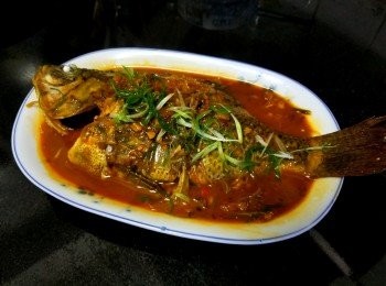 step7: 做法：

大火燒紅油鑊，將鰂魚上生粉，煎封兩面半熟上碟，再起油鑊，爆香蒜頭，乾蔥，辣椒碎，放入韓式辣醬，糖，雞粉，胡椒粉，瑞士雞汁，少少鹽，生抽，麻油，約 300ml 水煮滾，將鰂魚回鑊，轉中細火蓋好煮 3 分鐘，放入蔥花上碟，完成。